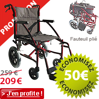 -50 euros sur fauteuil de transfert stan